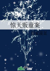 惊天贩童案