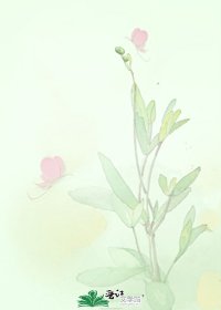 無愛不歡